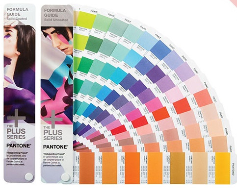 El fotograbado que imprimía la guía de la fórmula de las muestras del color de Pantone cubrió/sin recubrimiento